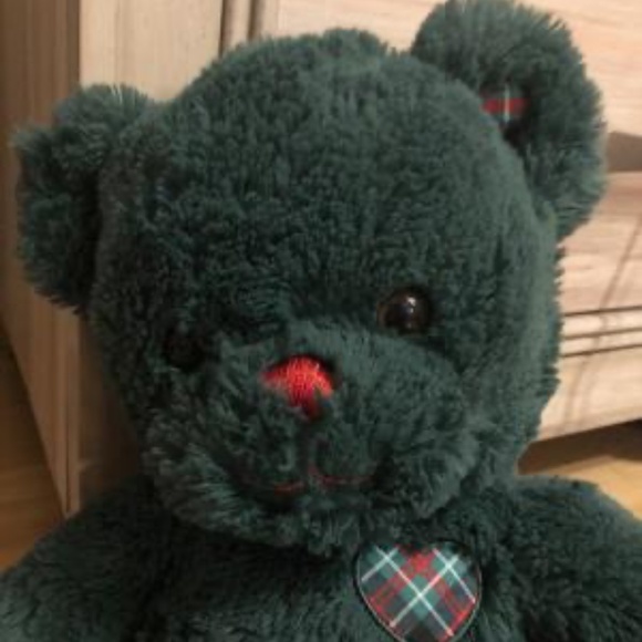 RETIRED BUILD A BEAR - GREEN BEAR WITH PLAID HEART, PAW PADS - Picture 2 of 6